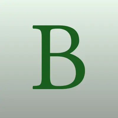 Бош Авто Сервис, автосервис, лого-визитка